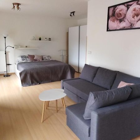 Apartment Archa 波杰布拉迪 外观 照片