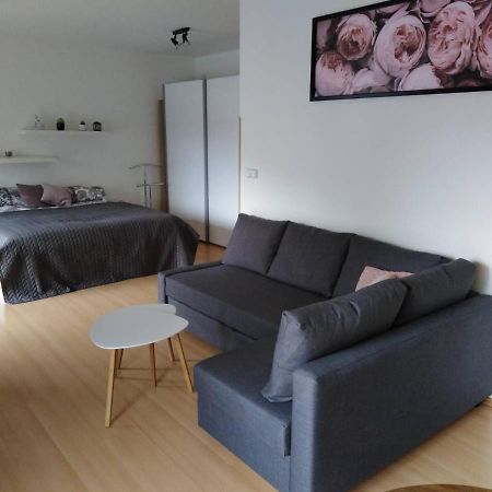 Apartment Archa 波杰布拉迪 外观 照片
