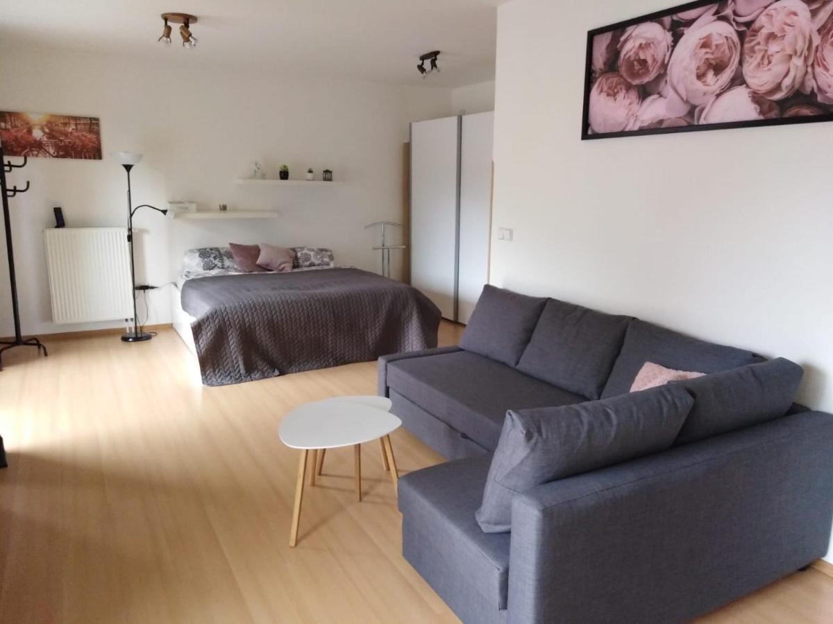 Apartment Archa 波杰布拉迪 外观 照片