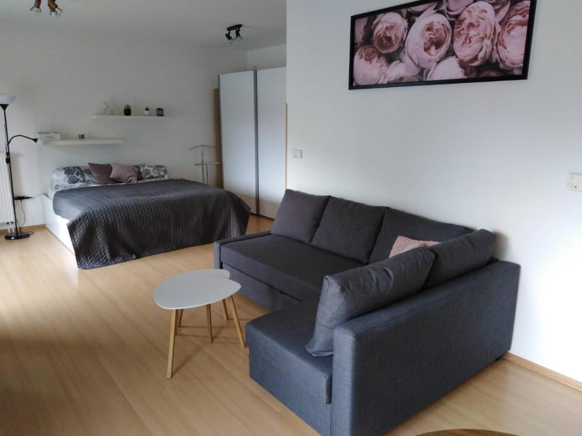 Apartment Archa 波杰布拉迪 外观 照片