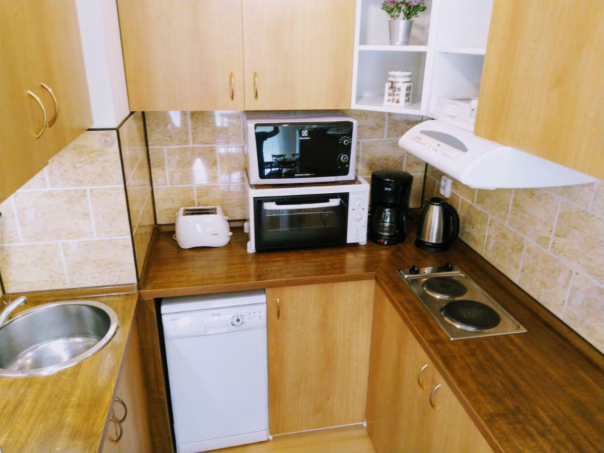 Apartment Archa 波杰布拉迪 外观 照片