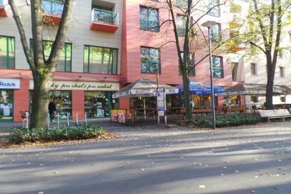 Apartment Archa 波杰布拉迪 外观 照片